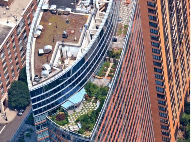 Cultivated Abundance – The Visionaire Penthouse Green Roof Featured Image