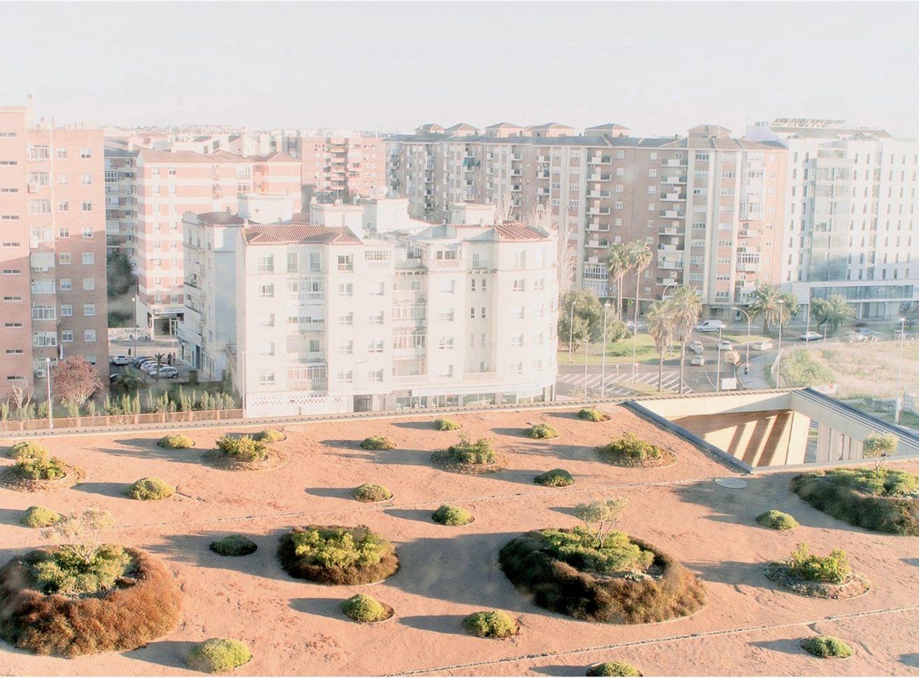 Caja Badajoz HQ Dehesa Landscape: Greenroof Cover and Gardens & Park Featured Image