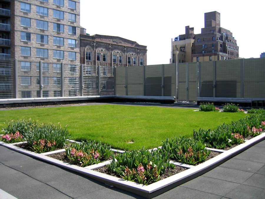 Calhoun School Green Roof Learning Center Featured Image