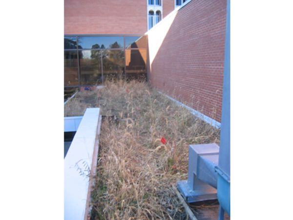 Carleton College Green Roof Project Featured Image