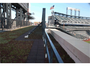 Citi Field, Home of New York Mets Featured Image