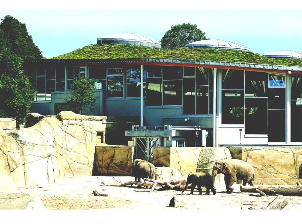 Elephant House at Cologne Zoo Featured Image