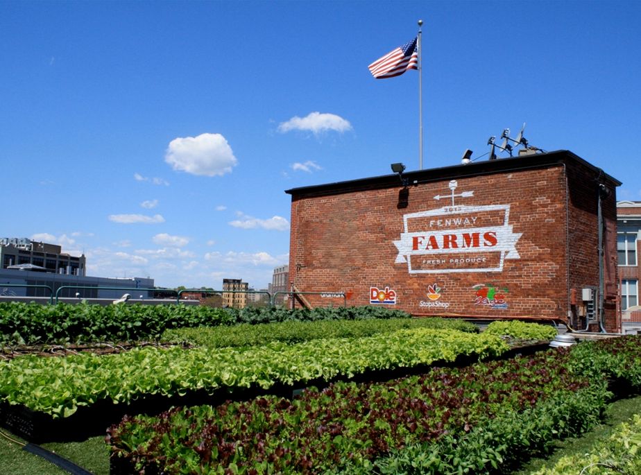 Fenway Farms Featured Image
