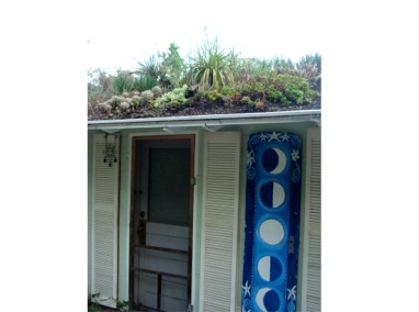 Florida Extensive Green Roof Featured Image