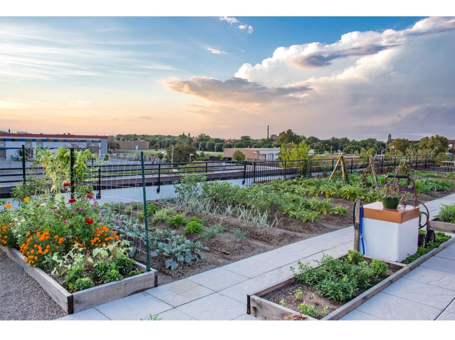 FOOD ROOF Farm Featured Image