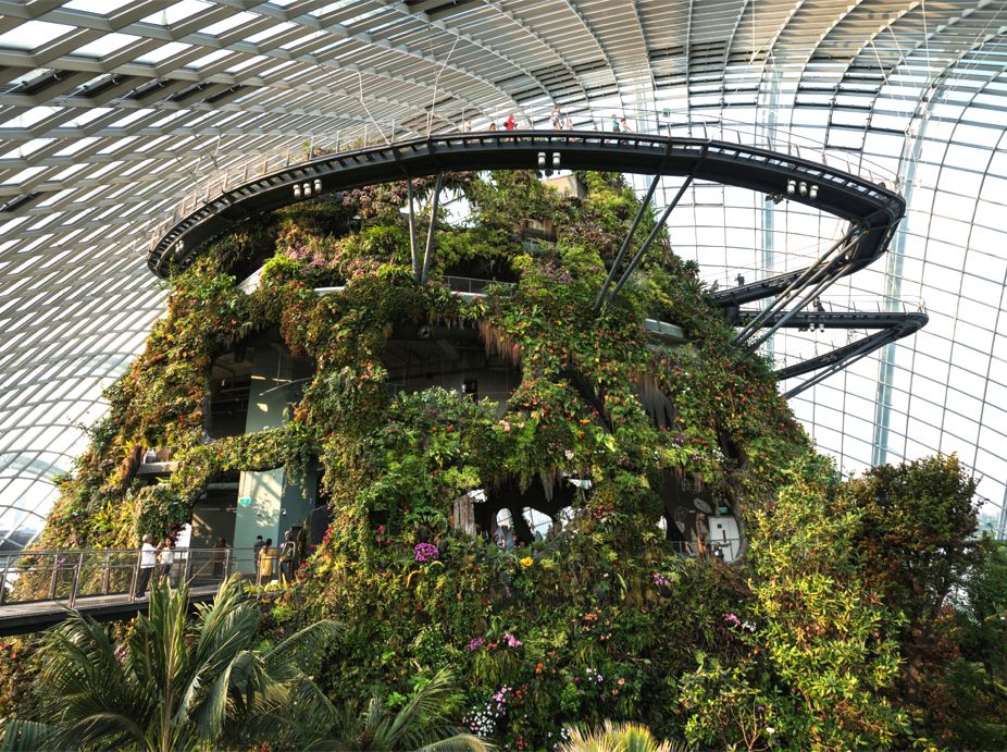 Project of the Week for May 2, 2016: Gardens by the Bay, Cloud Forest Conservatory's Cloud Mountain