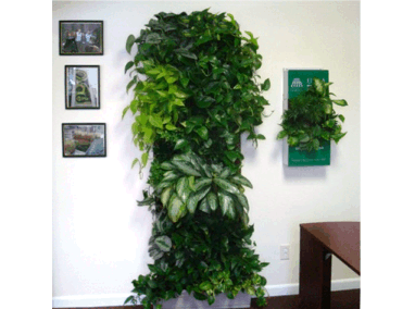 Green Living Technologies (GLT) Office Featured Image