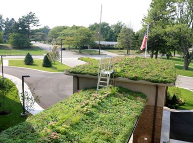 The Village at the Pines Green Roofs Featured Image