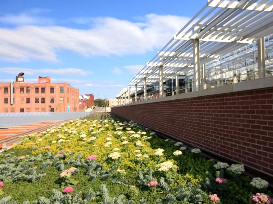 Grand Rapids Downtown Market Green Roof Featured Image