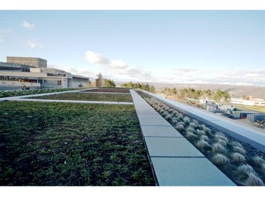 Ithaca College – Dorothy D. and Roy H. Park Center for Sustainable Enterprise Featured Image