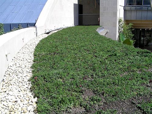 Minnetrista Green Roof Featured Image