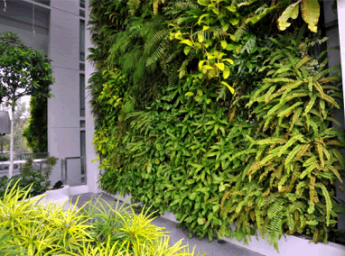 One North Residences Green Walls Featured Image