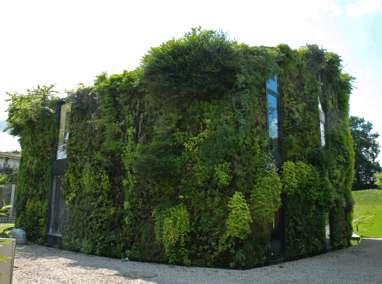 Private Brussels Residence Vertical Garden & Greenroof Featured Image