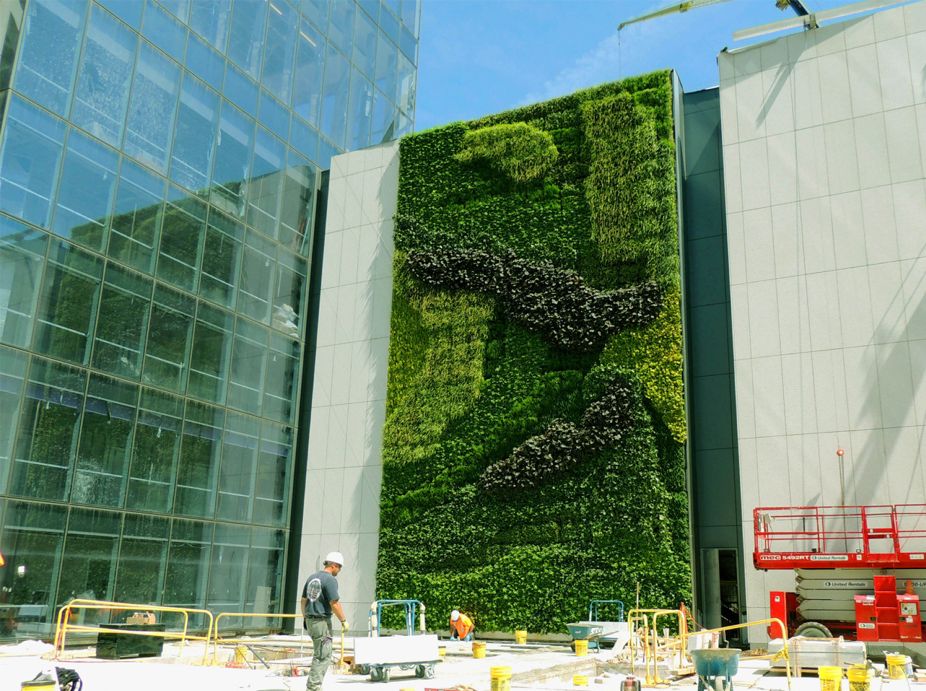 Prudential Tower Living Wall Featured Image