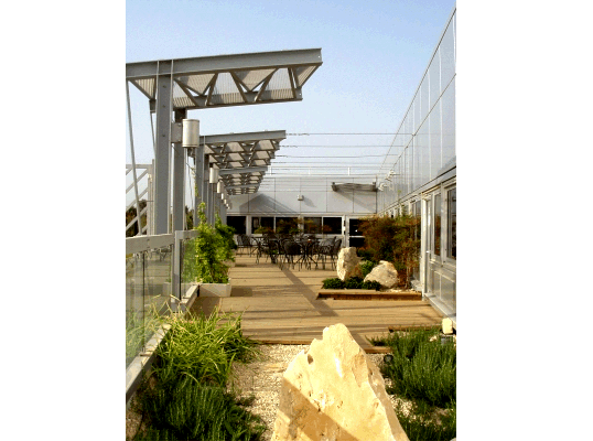 ROCH, Israel Roof Garden Featured Image