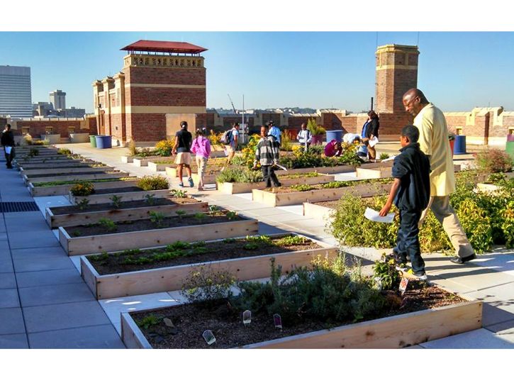 Rothenberg Rooftop Garden Featured Image