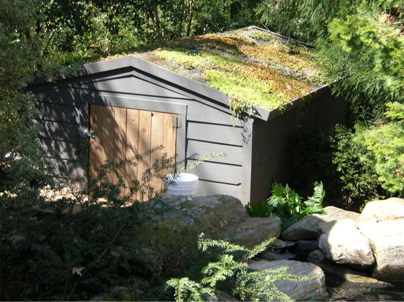Saul Residence Pool Pump Shed Featured Image