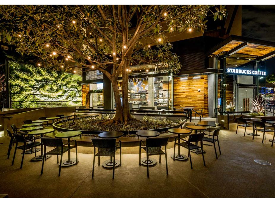 Starbucks Living Wall at Downtown Disney, Anaheim Featured Image