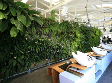 The Department Store, Stephen Marr Hair Salon, NZ Greenwall Featured Image