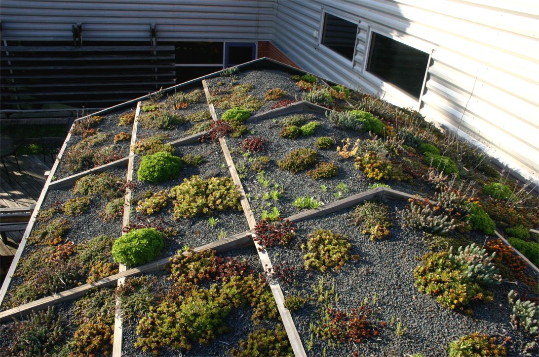 University of Tennessee Garden Shed - Greenroofs.com
