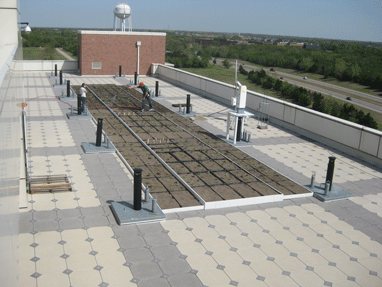 National Weather Center Experimental Green Roof Featured Image