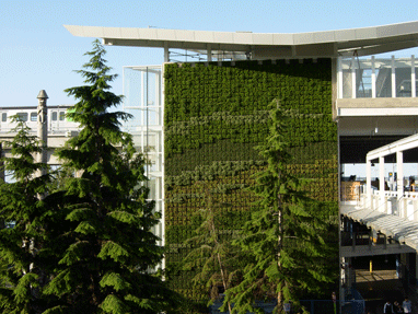 YVR Canada Line Station 4 Living Wall Featured Image