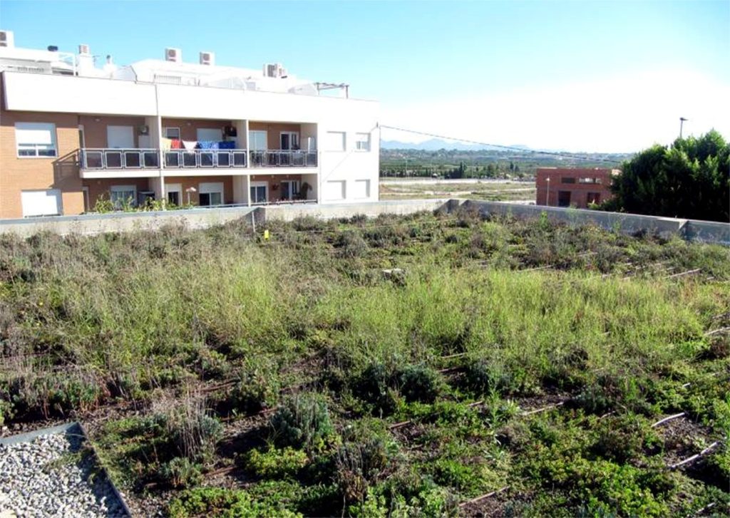 Hydrological Performance of Green Roofs at Building and City Scales under Mediterranean Conditions