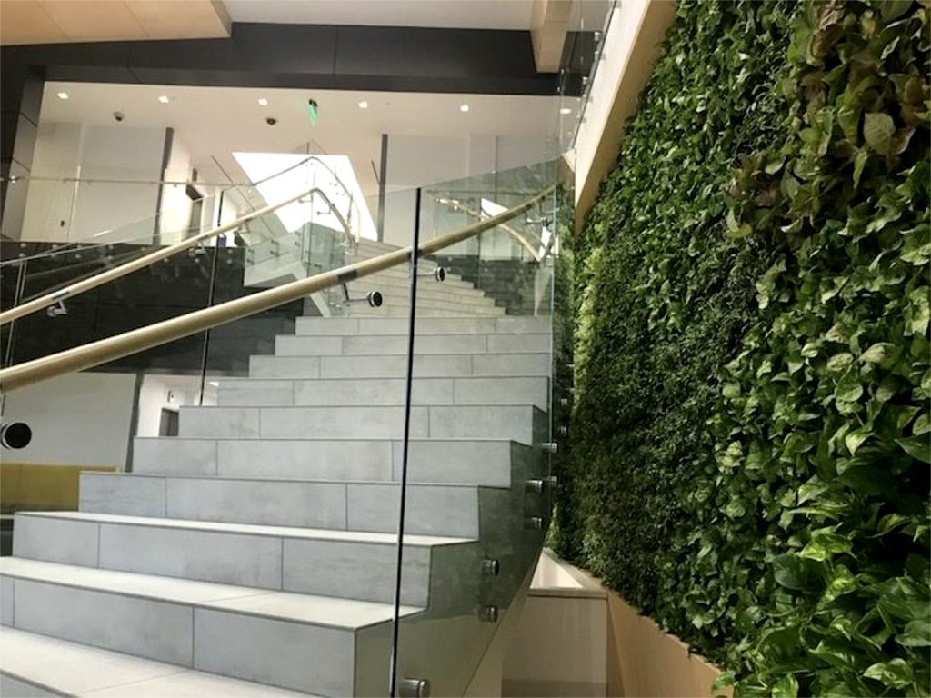 Reconnecting People with Nature: Green Walls