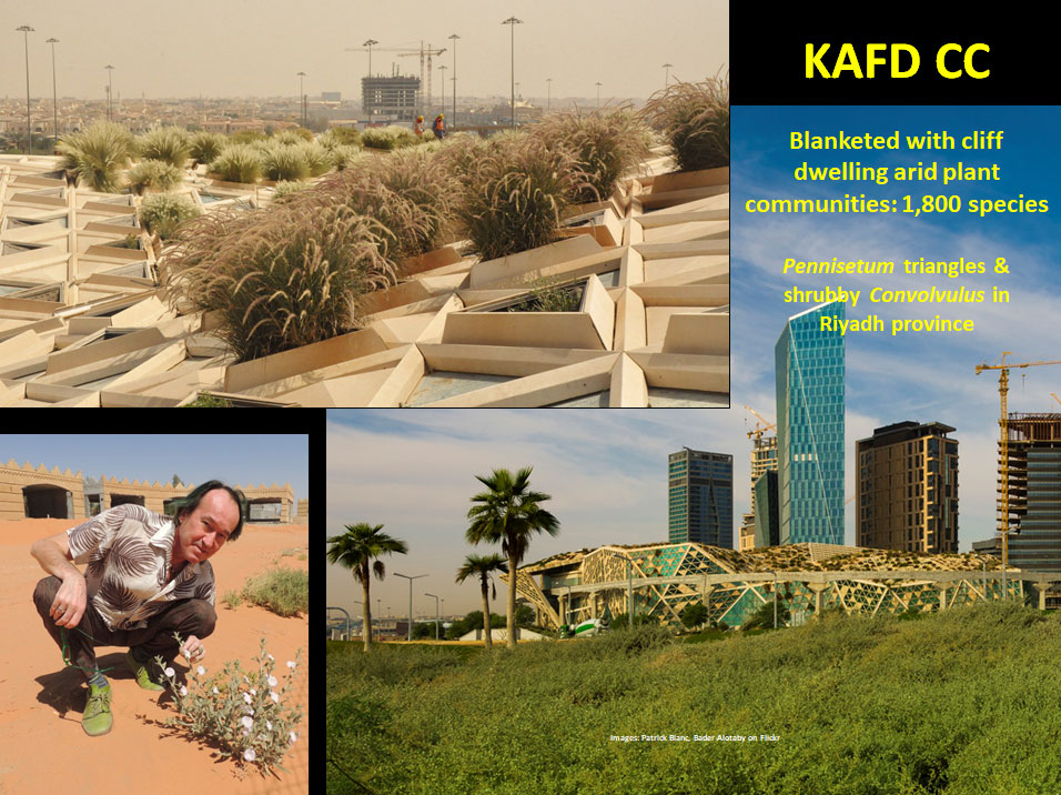 #3: Middle East: Arid & Sub-humid Greening of the Desert