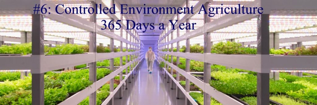 2018 Top 10 Hot List Category #6: Controlled Environment Agriculture 365 Days a Year: Vertical Soil-free Farming
