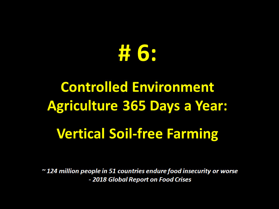 #6: Controlled Environment Agriculture