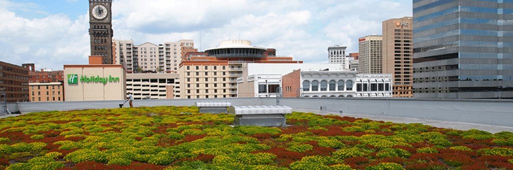 Baltimore Should Consider Green Roofs as the Next Eco-friendly Initiative