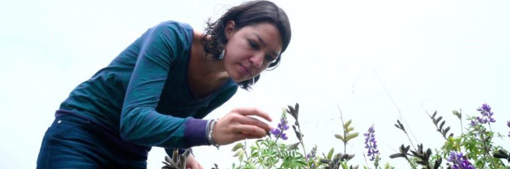 Biologist Wants to Use Green Roofs to Help Quito, Ecuador Cope with Extreme Weather