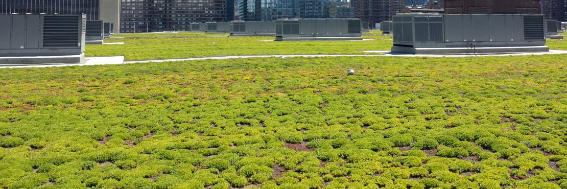 Chatfield Farms Green Roofing Featured Image