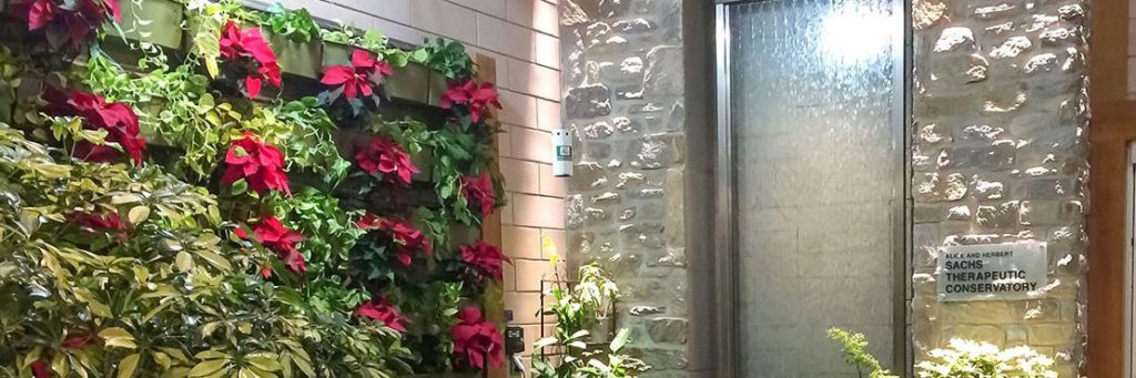Green Wall in Therapeutic Conservatory — Not Just for 