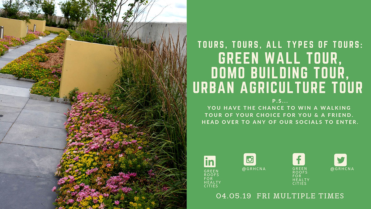 Join Green Roofs for Healthy Cities at Grey to Green Toronto