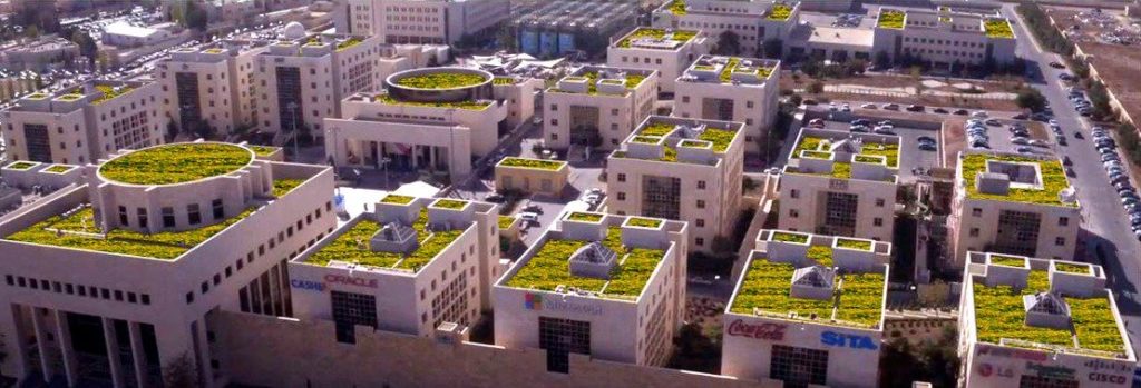 Green Roof Technology for Energy and Thermal Benefits in Buildings