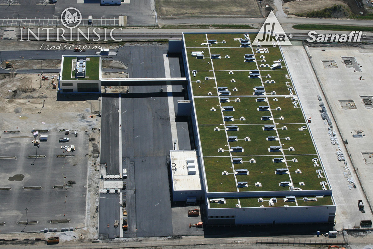 Green Roof Energy Series Part 6