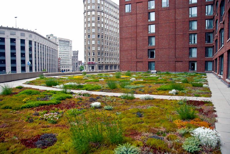 Green Roof Energy Series Part 2