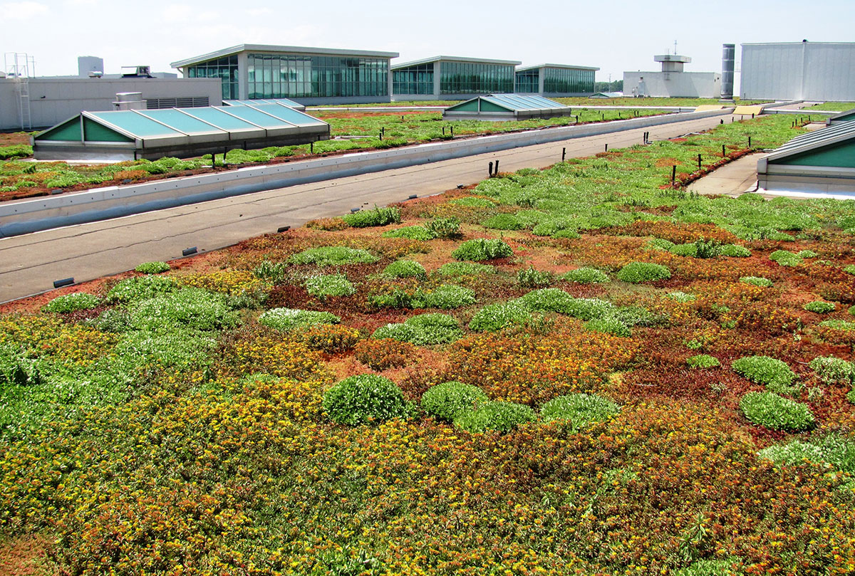 Green Roof Energy Series Part 7