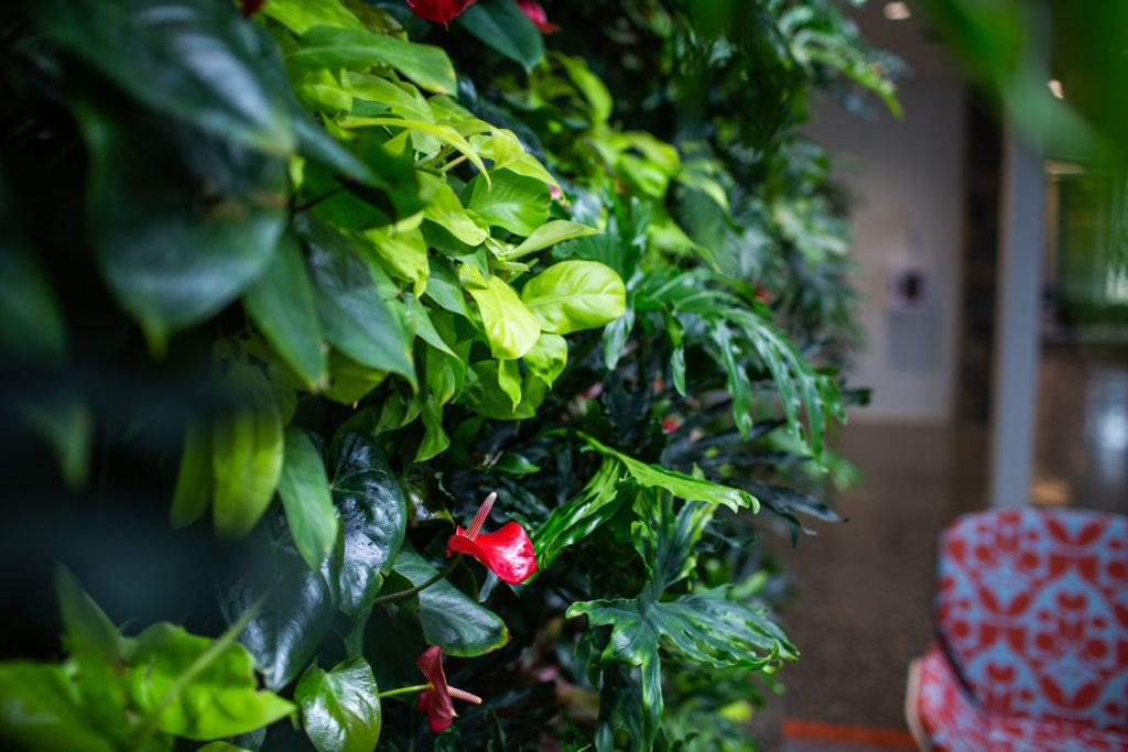 LiveWall Living Wall Graces the Atrium of the New Science and Technology Center at Cornerstone University