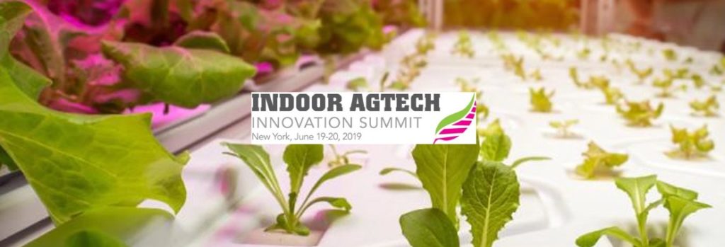 Meet the Disruptors at the Indoor AgTech Innovation Summit in New York