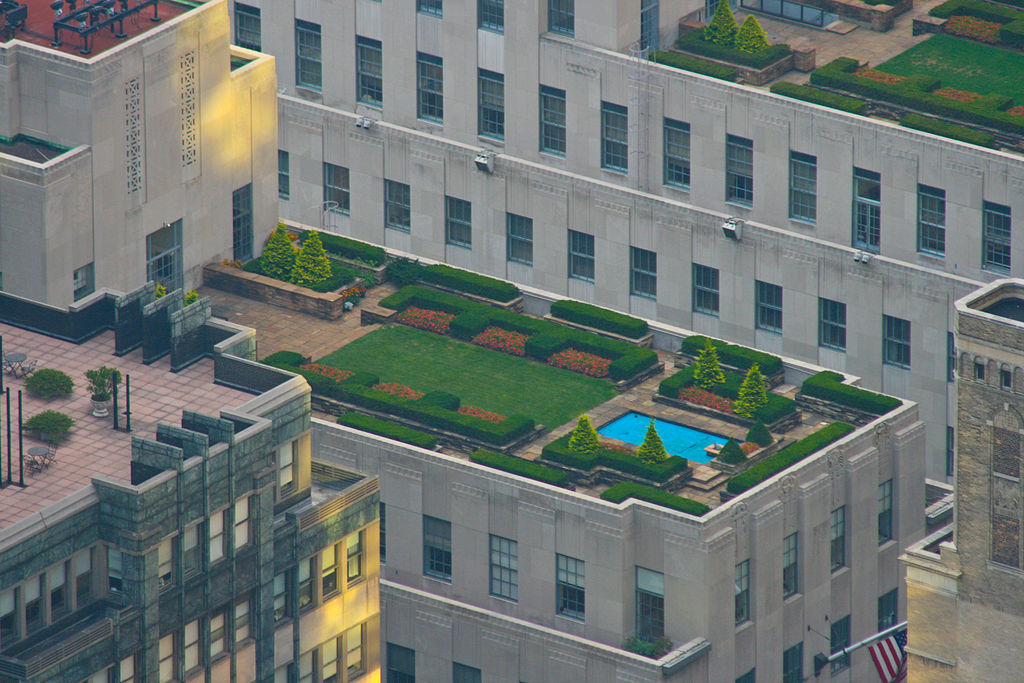 Energy and Green Roofs