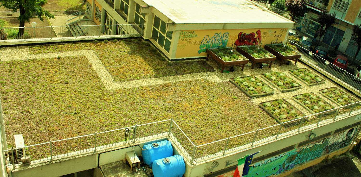 Liceo Scientifico Keplero Experimental Green Roof