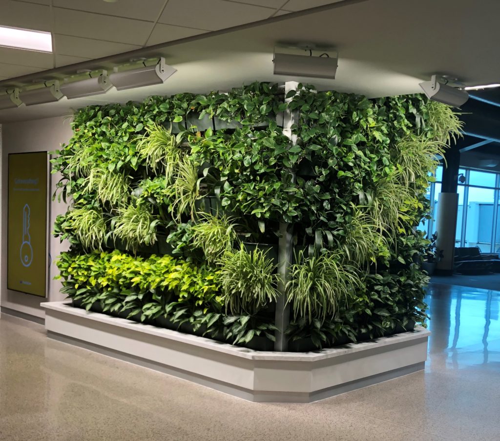 LiveWall Living Wall Brings Natural Beauty and Calm to the TSA Checkpoint at Appleton International Airport (ATW)
