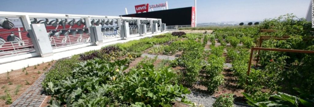 What Do the NFL and Rooftop Farming Have in Common? Levi's Stadium
