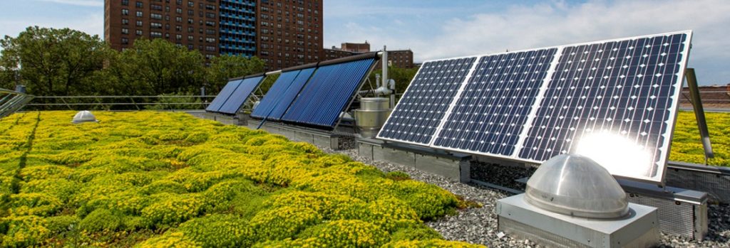 Solar on Green Roofs is Best Option for NYC's Roofs Sustainable Makeover