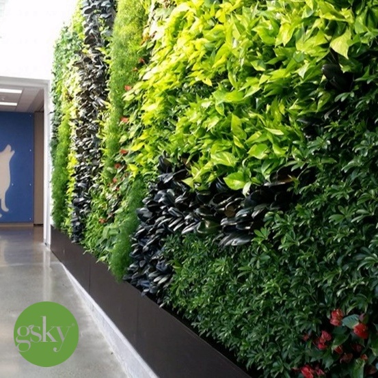 Living Green Walls in Schools Increase Student Performance and Well Being