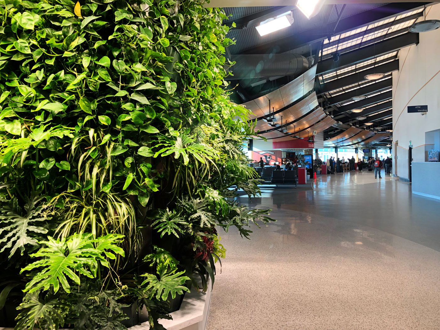 Appleton International Airport (ATW) Living Wall Featured Image
