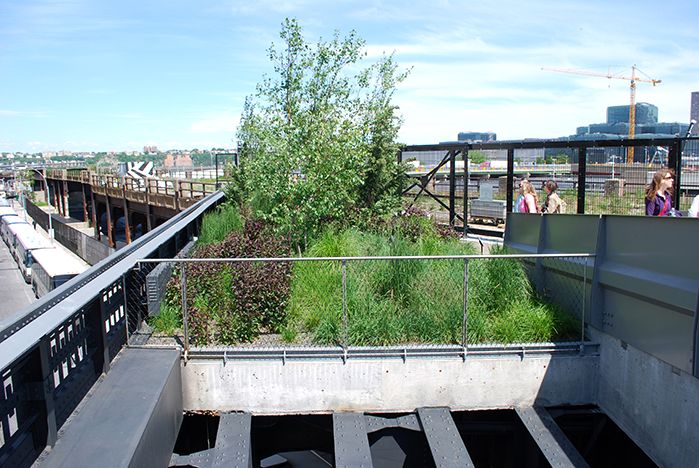 A Comparison of the 3 Phases of the High Line Part 9 - Proposed Phase Three